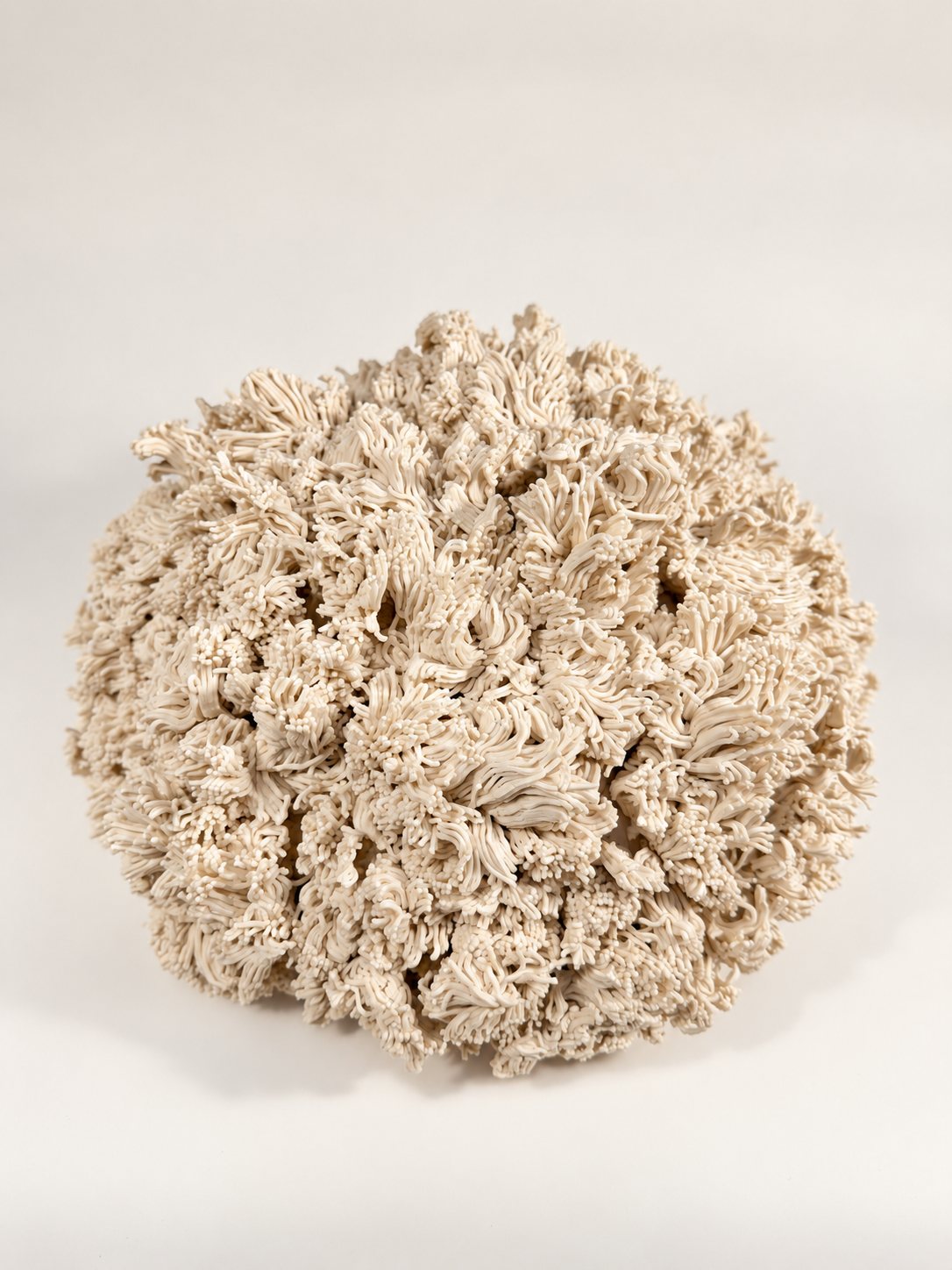 Quiet Colony, 2026, porcelain, by Ayse Akdemir